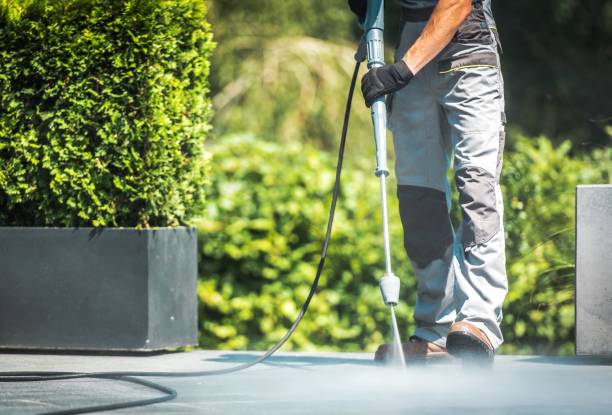 Animal Enclosure Cleaning in Absecon, NJ